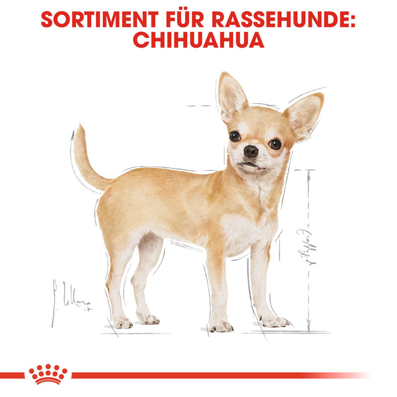 ROYAL CANIN Hundetrockenfutter ROYAL CANIN Chihuahua Adult 1,5 kg