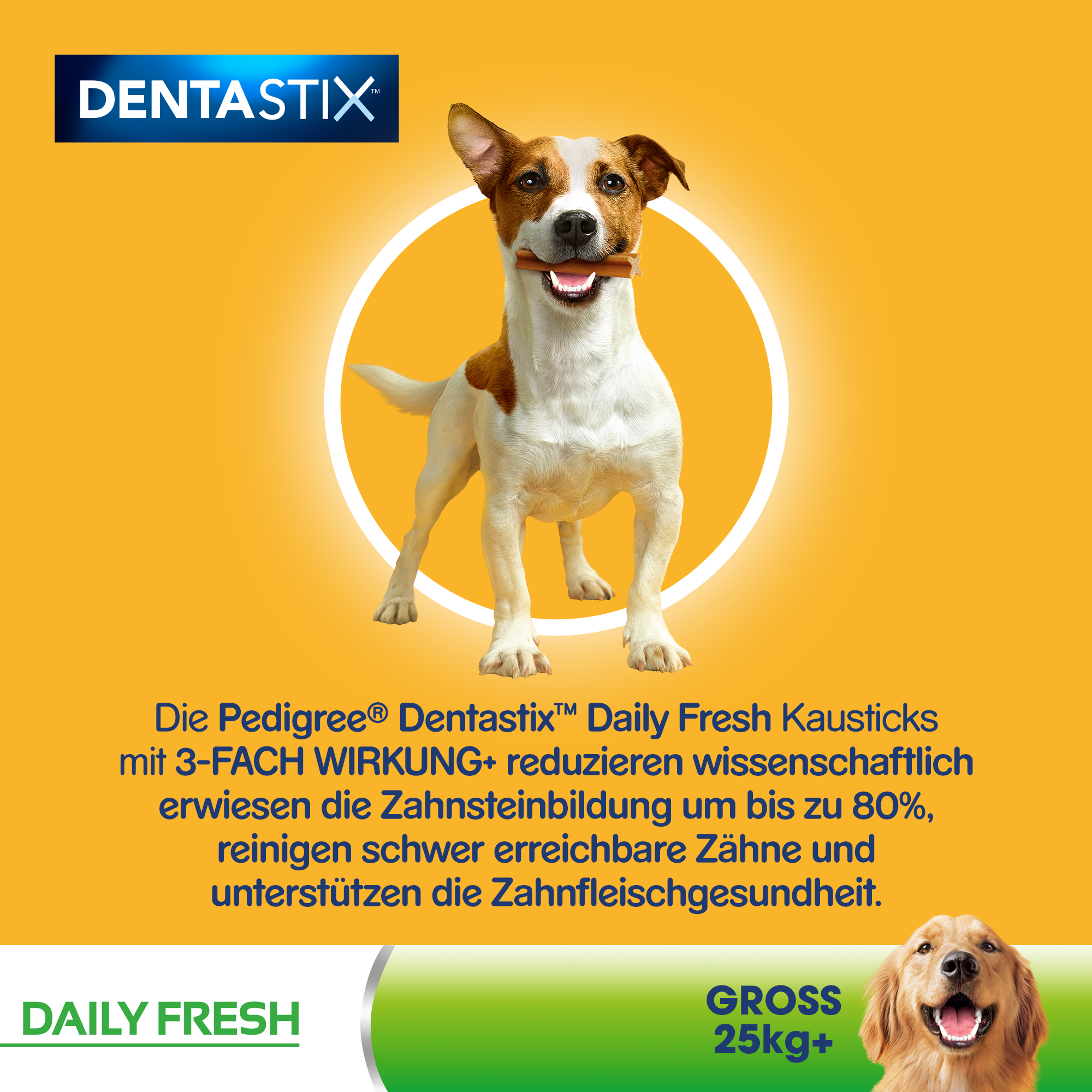 Pedigree Snacks Pedigree Zahnpflege Dentastix Daily Fresh Multipack Maxi, 26-44kg, 21x
