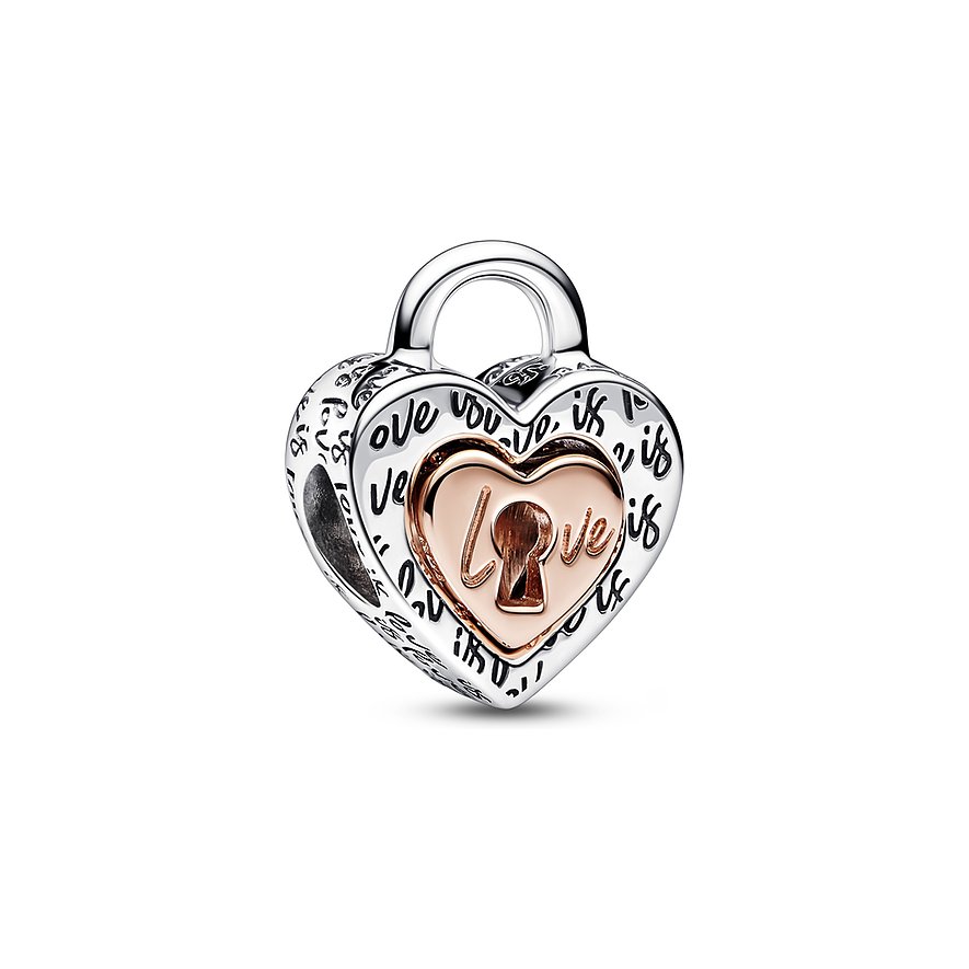 Pandora Charm Moments