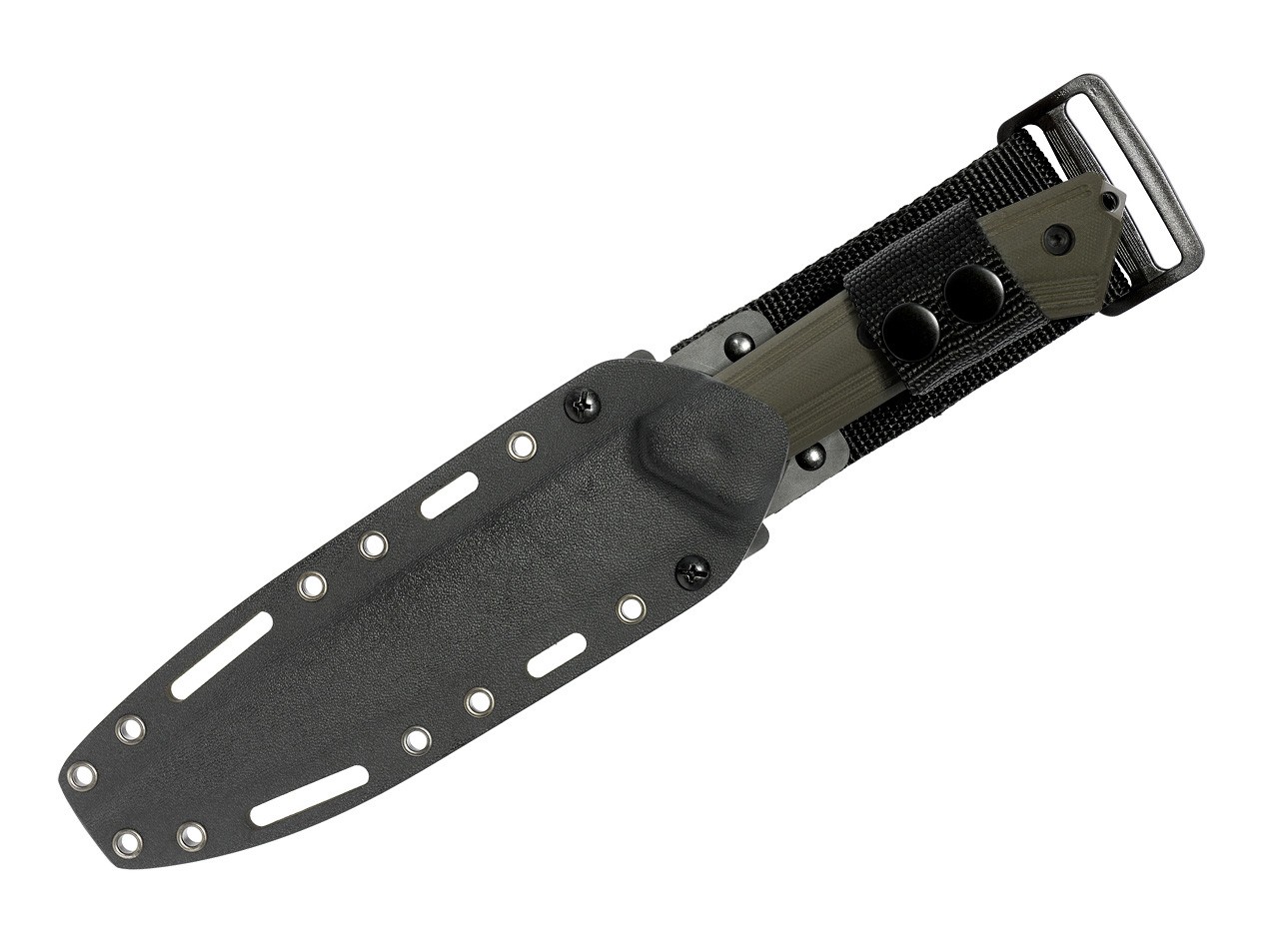 Sentence 131 Tanto