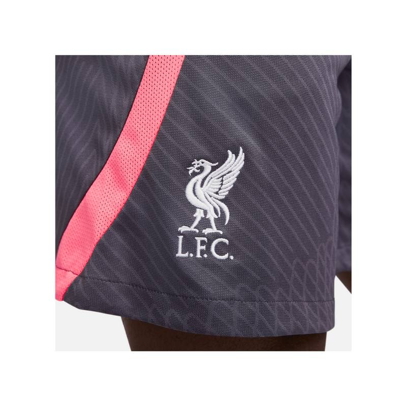 Nike FC Liverpool STRK 3rd Short Fußballshorts