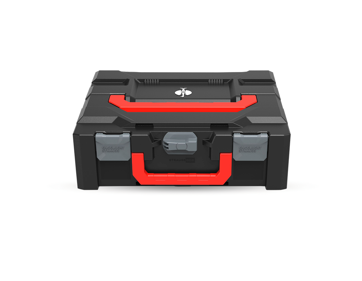 STRAUSSbox 145 midi+ Color
