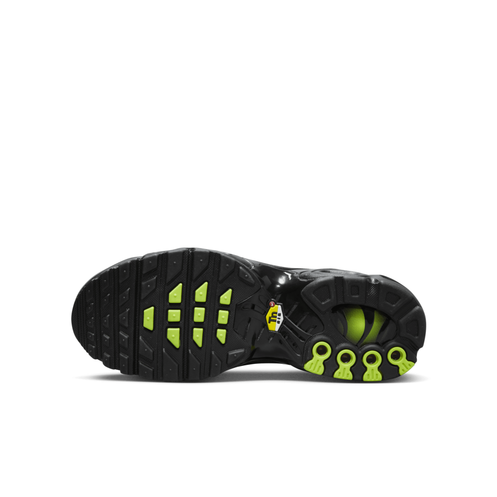 Nike Air Max Plus FQ2399-001 / schwarz