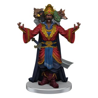 Pathfinder Battles Miniaturen: Impossible Lands - Masters of Magic Boxed Set (8) (pre-painted)