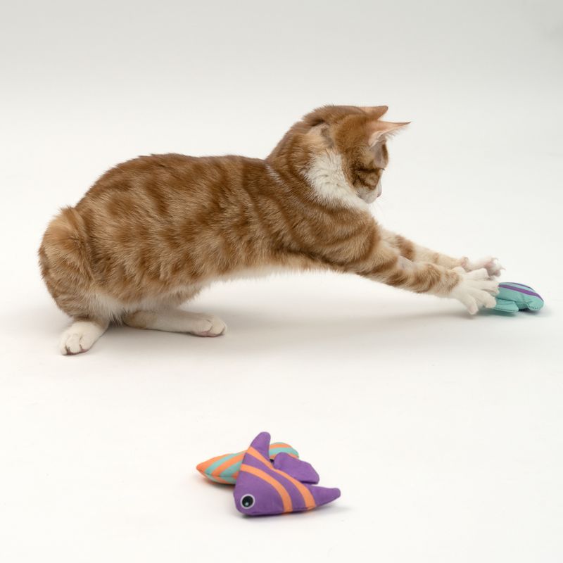 TIAKI Katzenspielzeug Fische mit Katzenminze