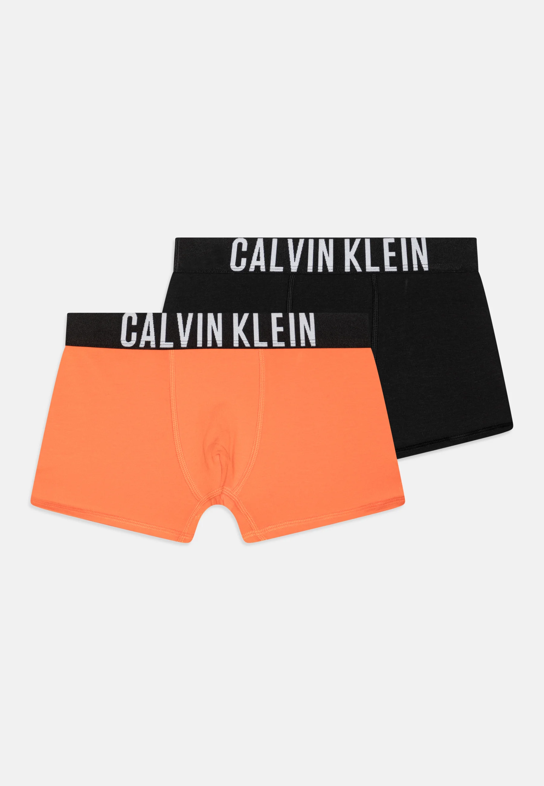 Calvin Klein Underwear TRUNK PACK DE 2 - Culotte
