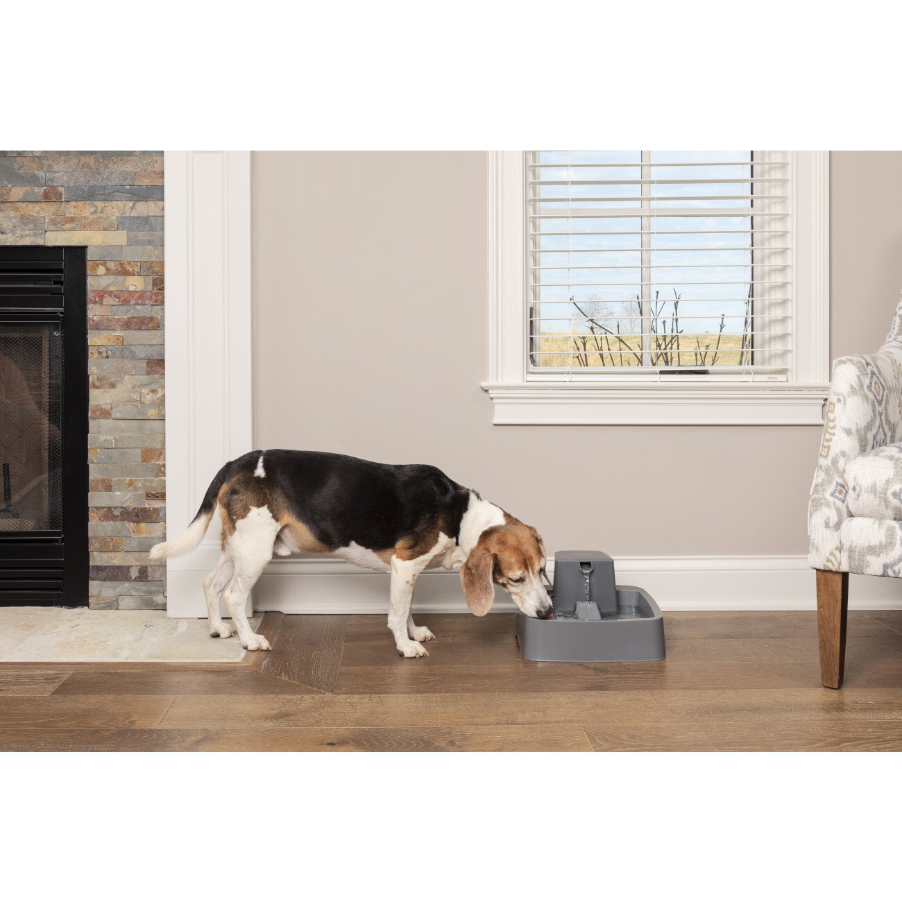 PetSafe Trinkbrunnen PetSafe Trinkbrunnen 3,7 l