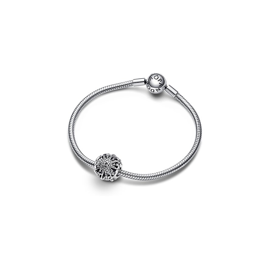 Pandora Charm Moments