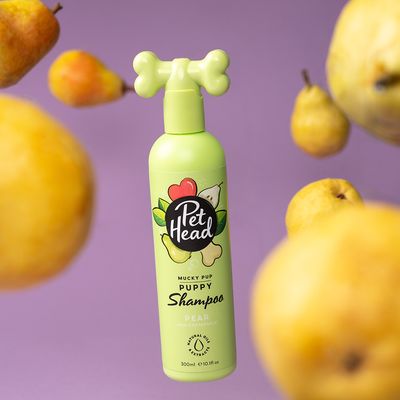 Pet Head Mucky Puppy Shampoo
