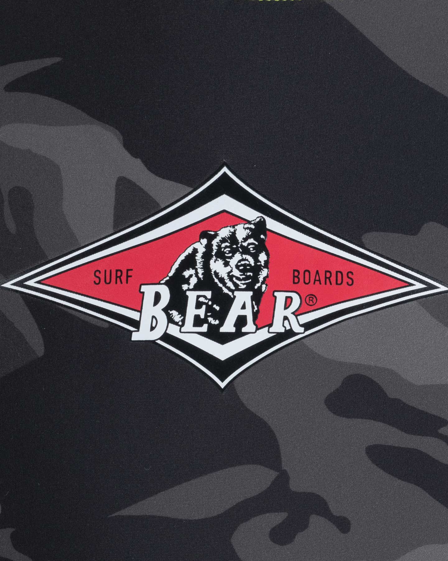 Koszulka Bear Iconic Big Logo Jr BB660S23-AOP
