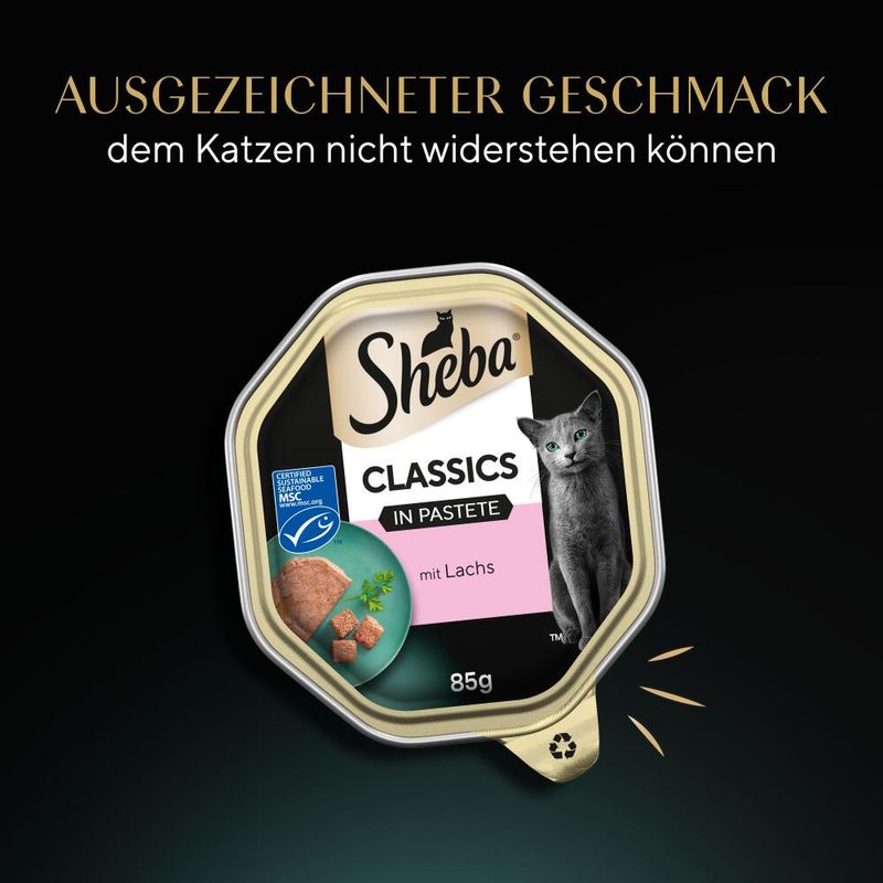 Sparpaket Sheba Schale 44 x 85 g zu TOP-Preisen