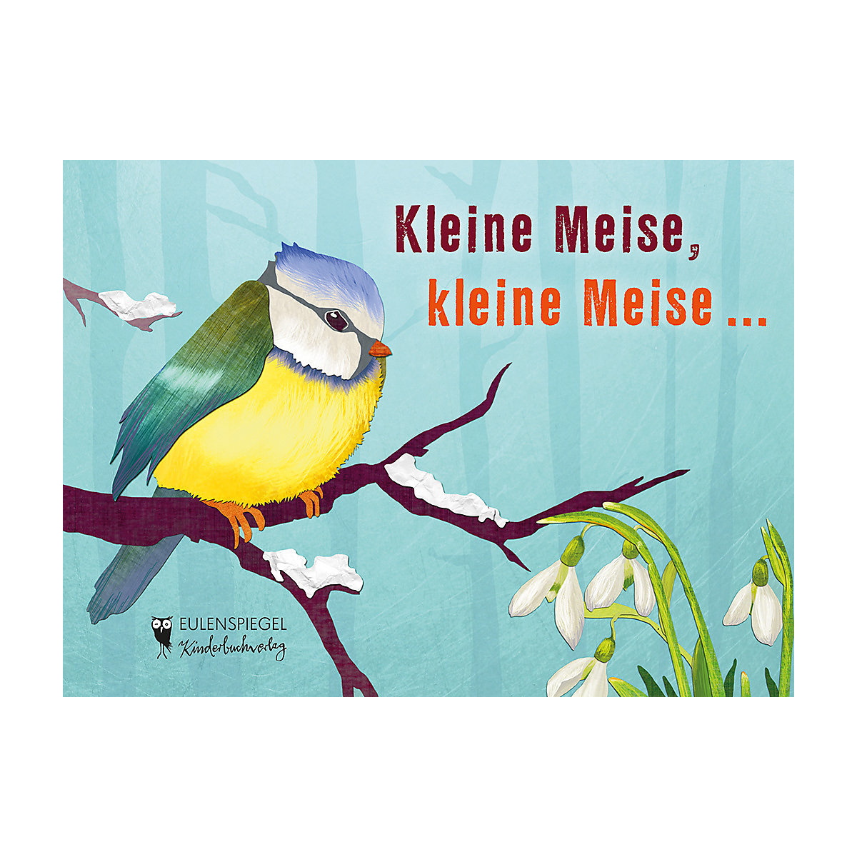 Kleine Meise, kleine Meise ...