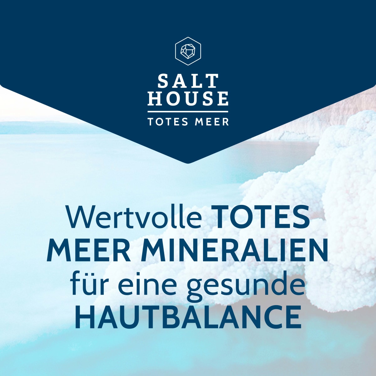 Duschgel Totes Meer Therapie, 250 ml