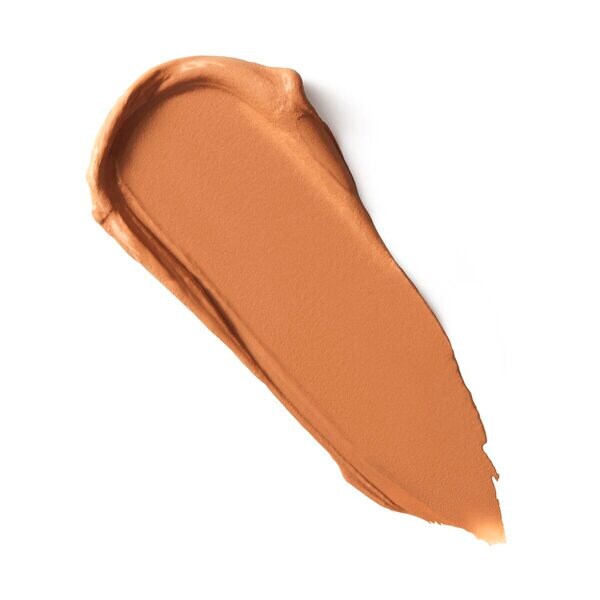 Maybelline New York Lifter Stix 65 meikkipuikko