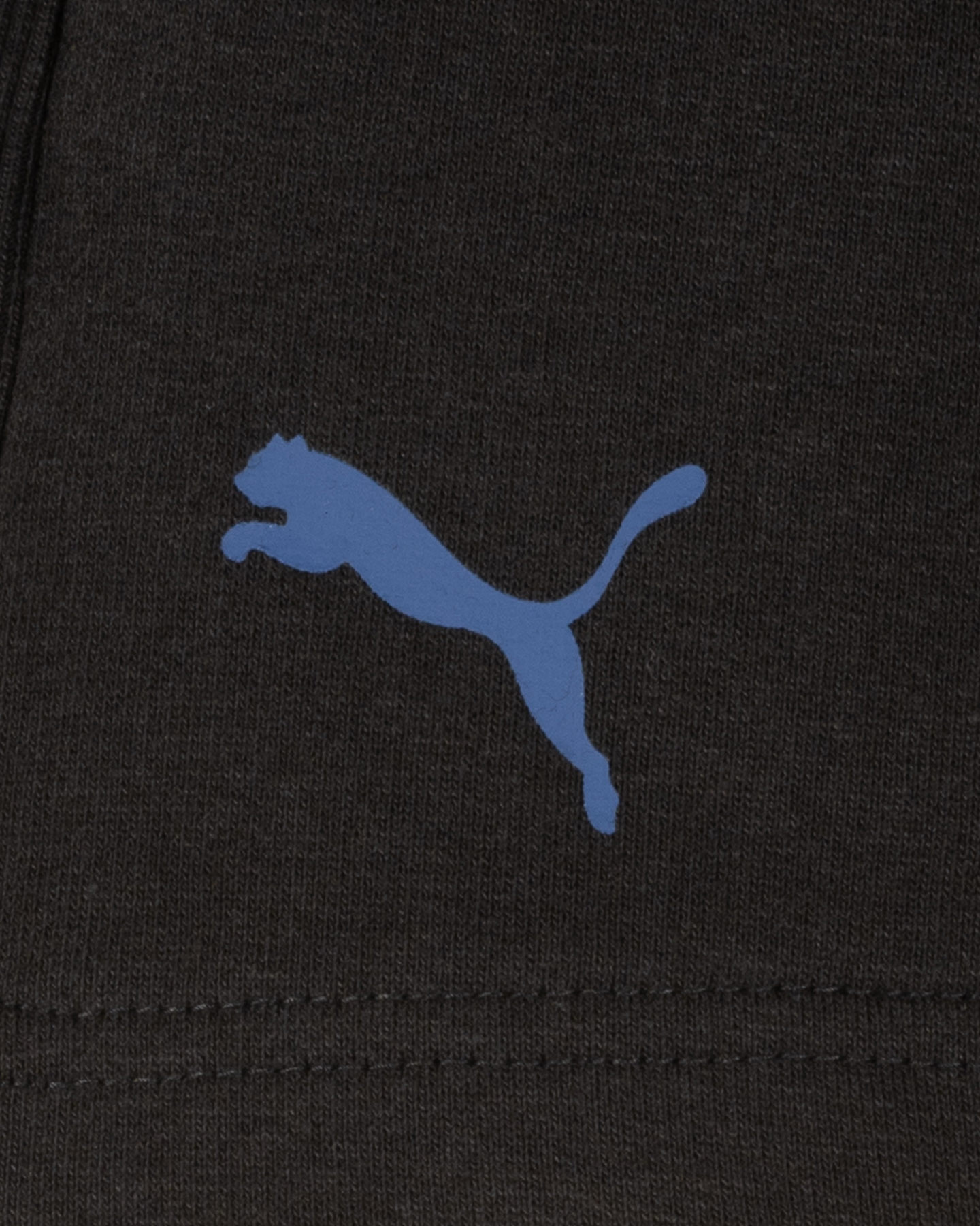 Szorty Puma z małym logo W 632425-01