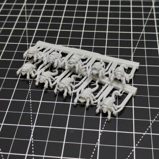 Bug Maggots (10)