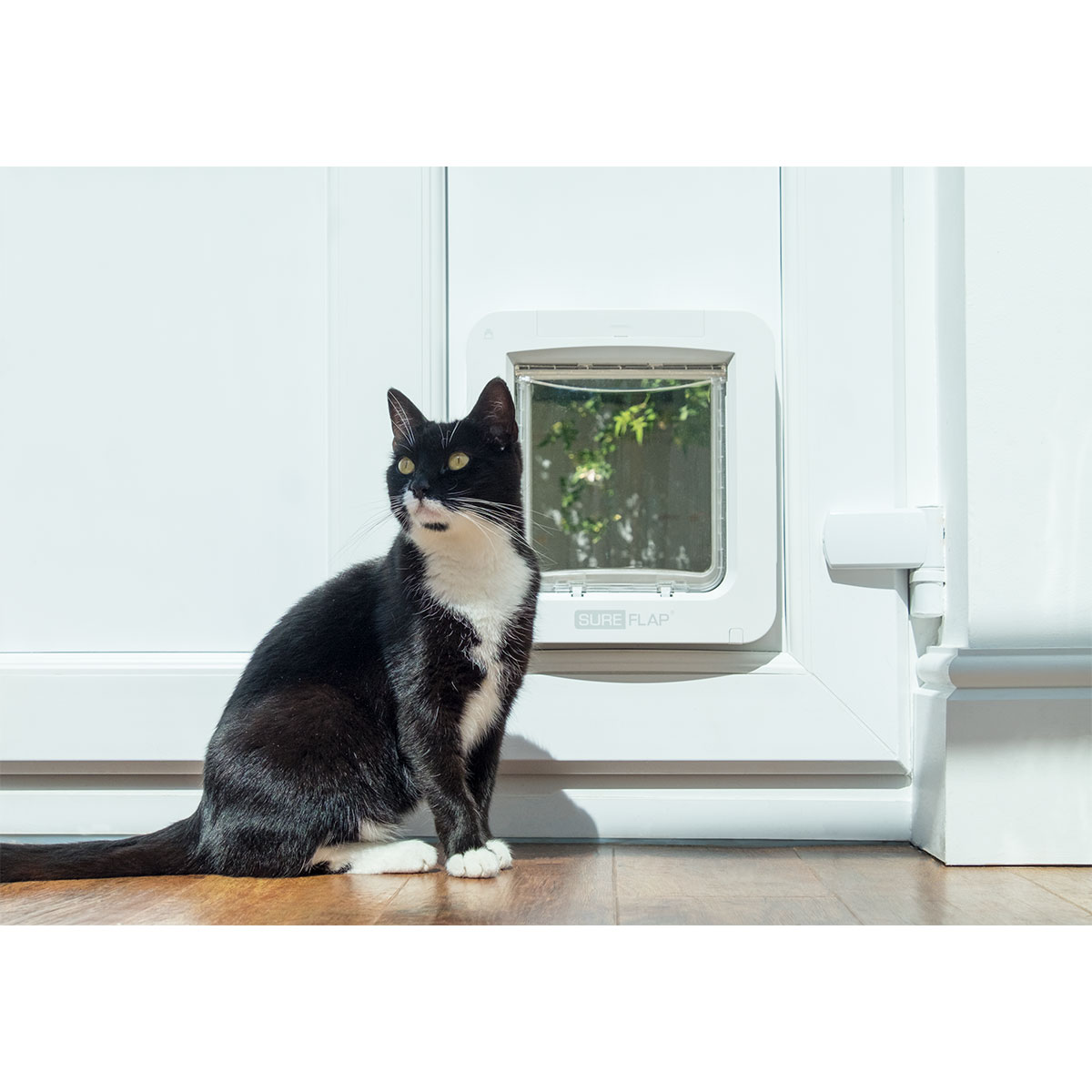 SureFlap Katzenklappe mikrochipgesteuert, weiß kaufen