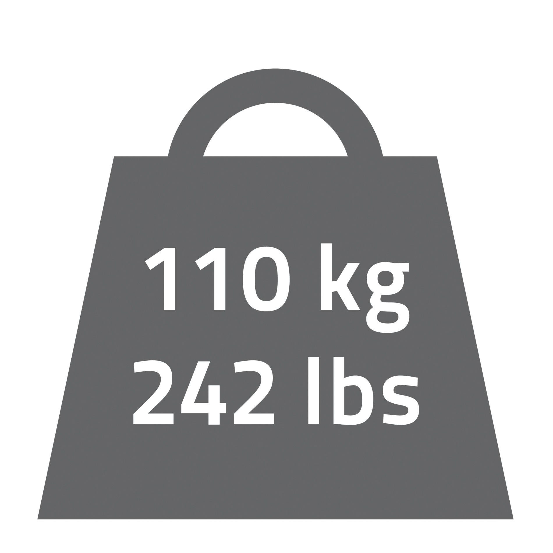 Ridder Haltegriff Comfort, belastbar bis 110 kg, 30 cm lang, glänzend