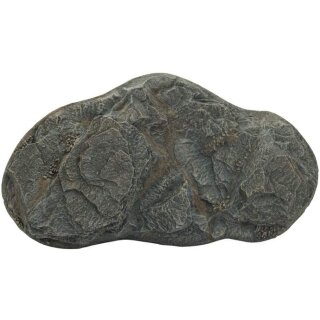 Large Rocky Hill