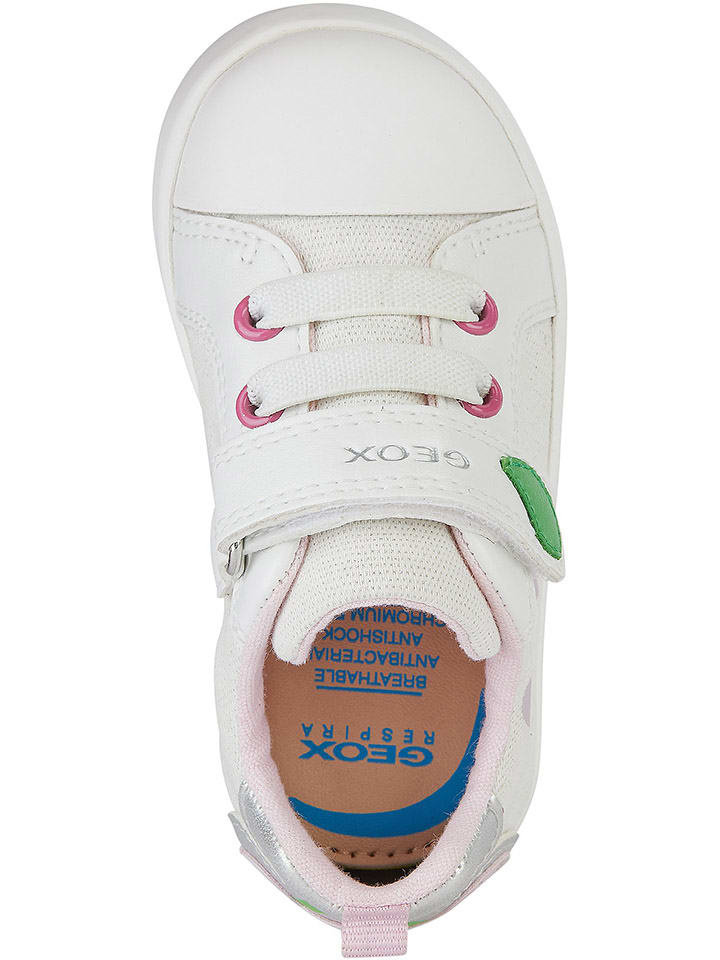 Geox Sneakers 