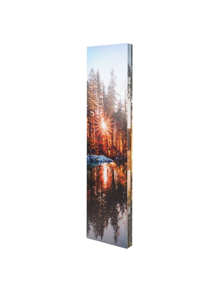 MCW Foto-Paravent mit Schallschutz L55, 180x122cm Waldsee günstig kaufen onesize