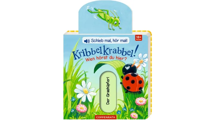 Coppenrath Verlag - Kribbelkrabbel! Wen hörst du hier? - Schieb mal, hör mal!