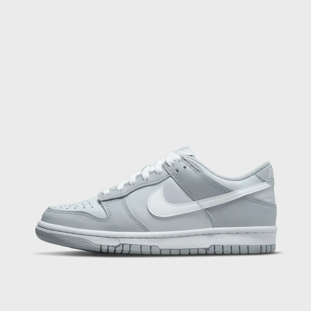 Nike Dunk Low GS DH9765-001 / grau