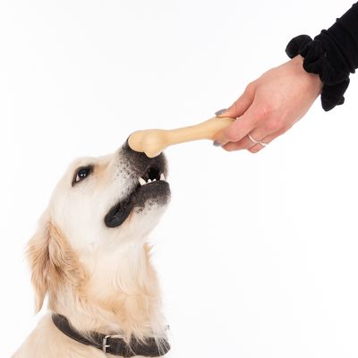 TIAKI Gummiknochen Hundespielzeug