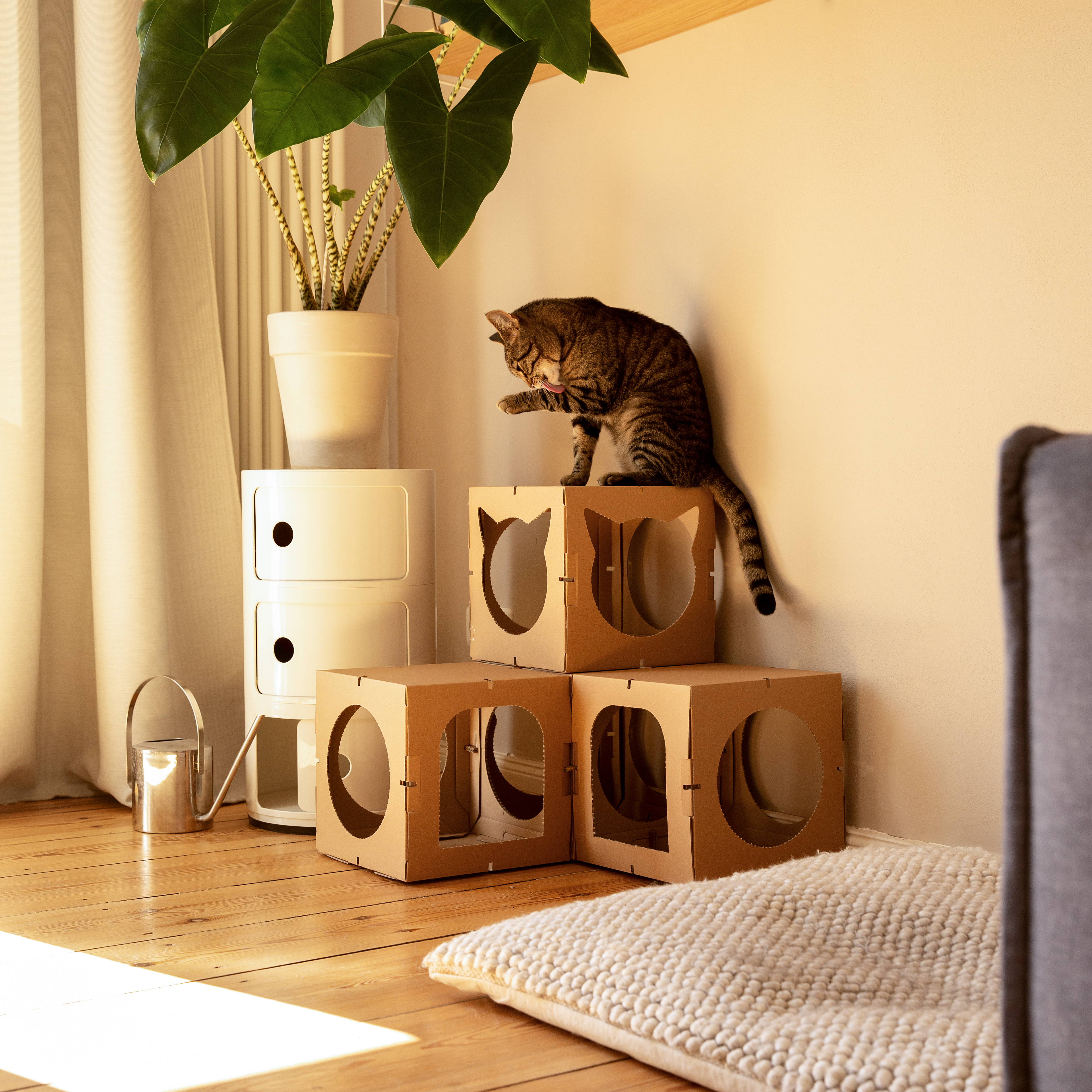 DoPetMe Katzenhäuser DoPetMe Katzenhaus The Kitten Castle