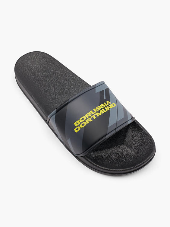 BVB Slides