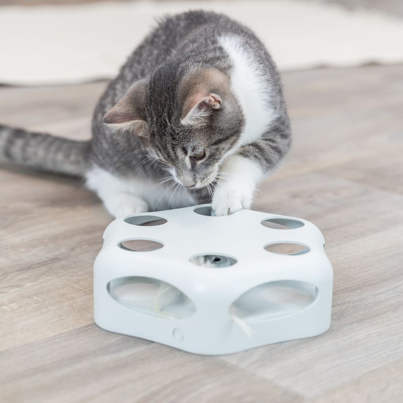 Trixie Katzenspielzeug Turning Feather zu TOP-Preisen | bitiba %