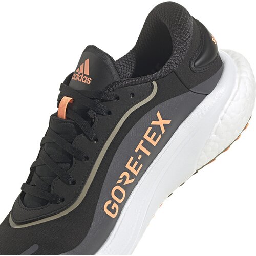HERREN LAUFSCHUHE SUPERNOVA GTX M