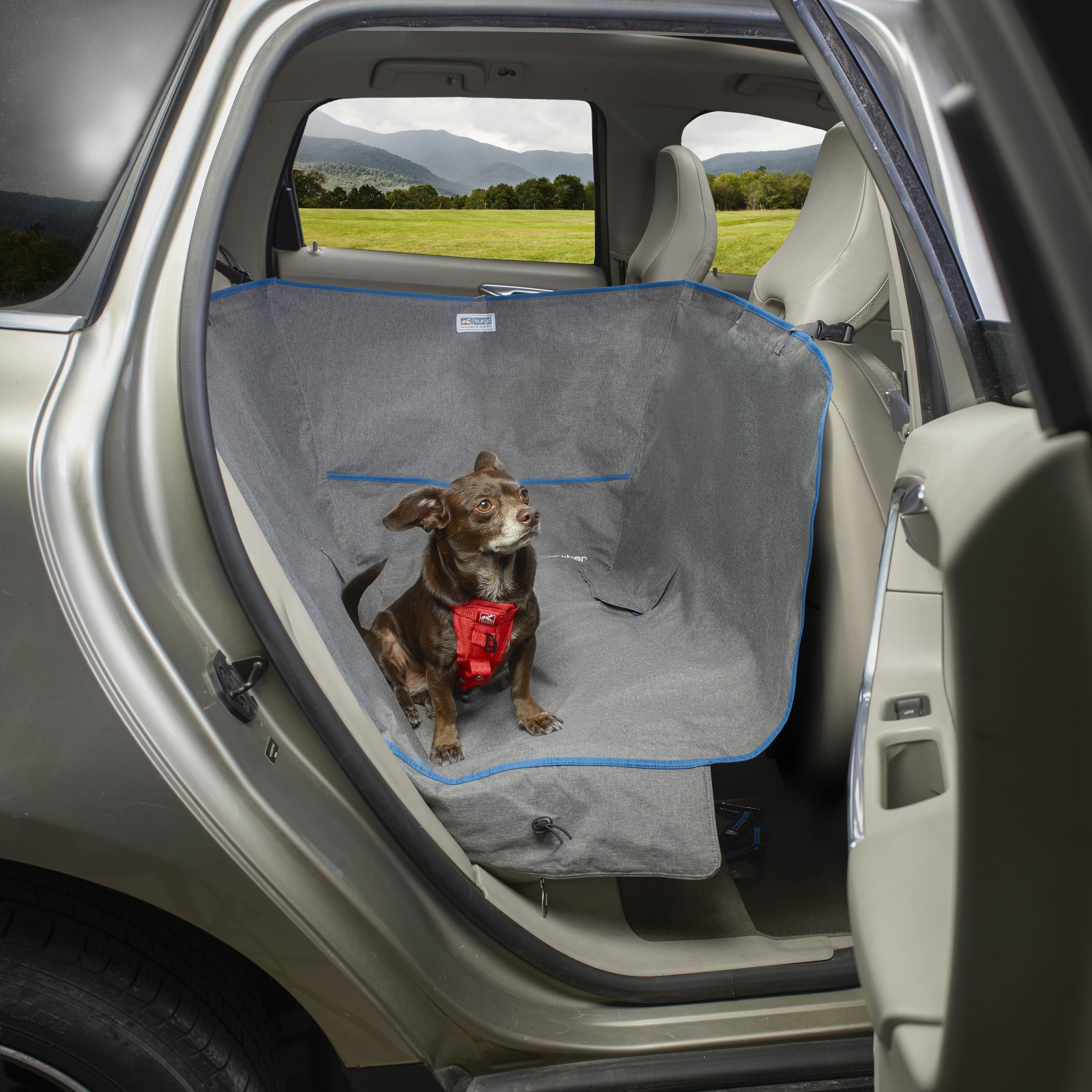 Kurgo Autozubehör Kurgo Halbhängematten-Sitzbezug für Hunde, Grau