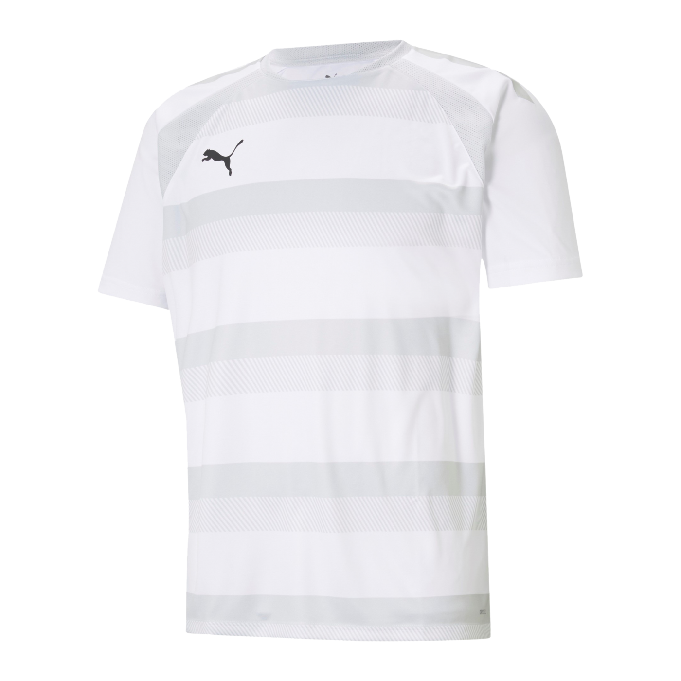 PUMA teamVISION Trikot Weiss Grau F04