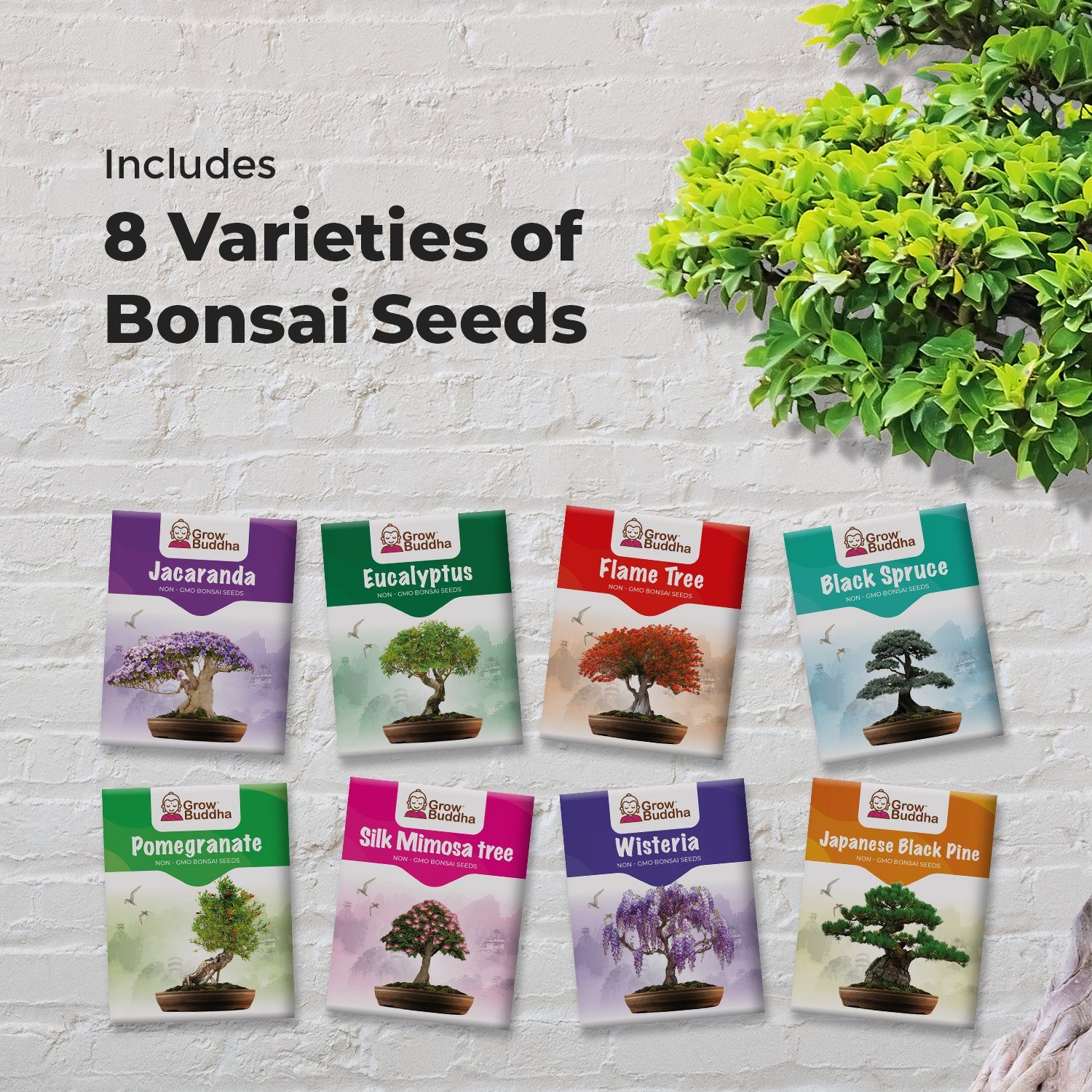 Grow Buddha Blumenerde Samen-Set mit 8 verschiedenen Bonsai-Bäumchen, (1-St)