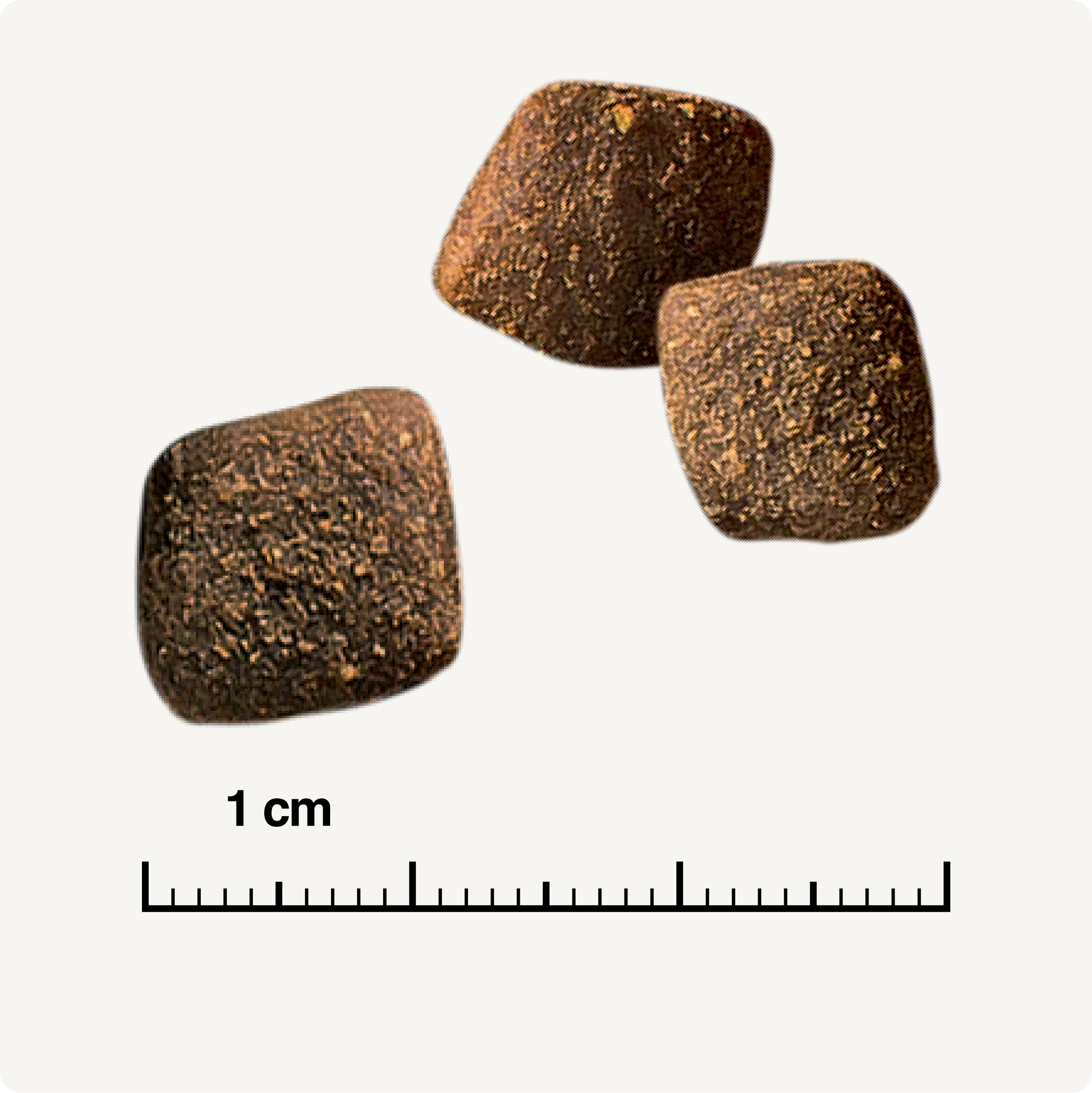 REAL NATURE Hundetrockenfutter REAL NATURE WILDERNESS Rocky Hills Rind & Ziege 2x12 kg
