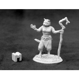 Mistveil Catfolk Sorceress