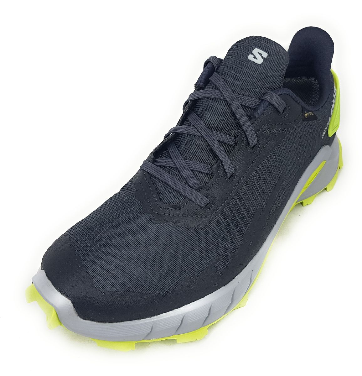 Salomon Alpha Cross 4GTX L47066700 Grau Ebony