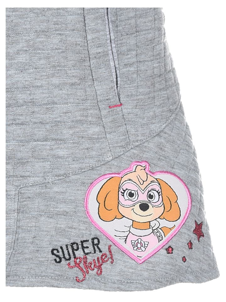 Paw Patrol Rock 
