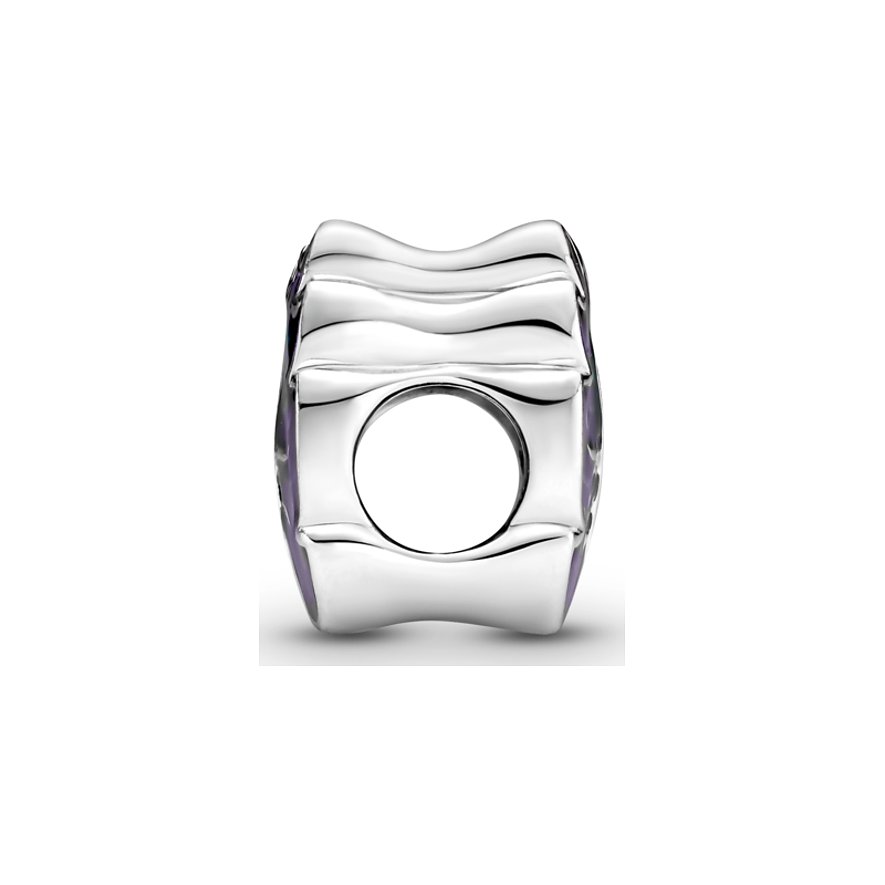 Pandora Charm Moments
