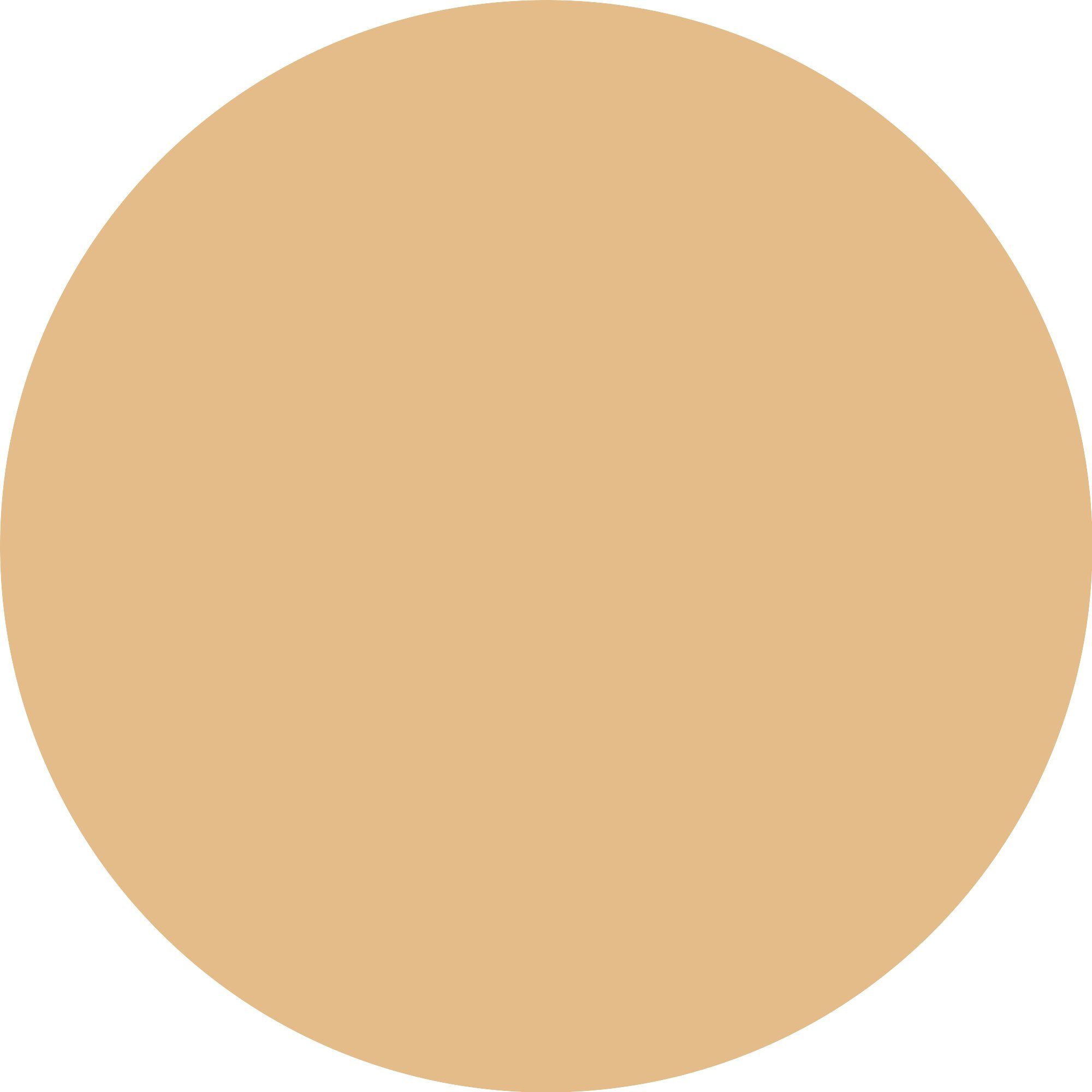 Catrice Primer Soft Glam Filter Fluid