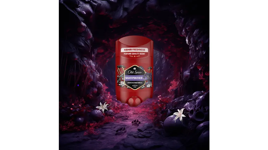 Old Spice DEO Stick Nightpanther 50 ml