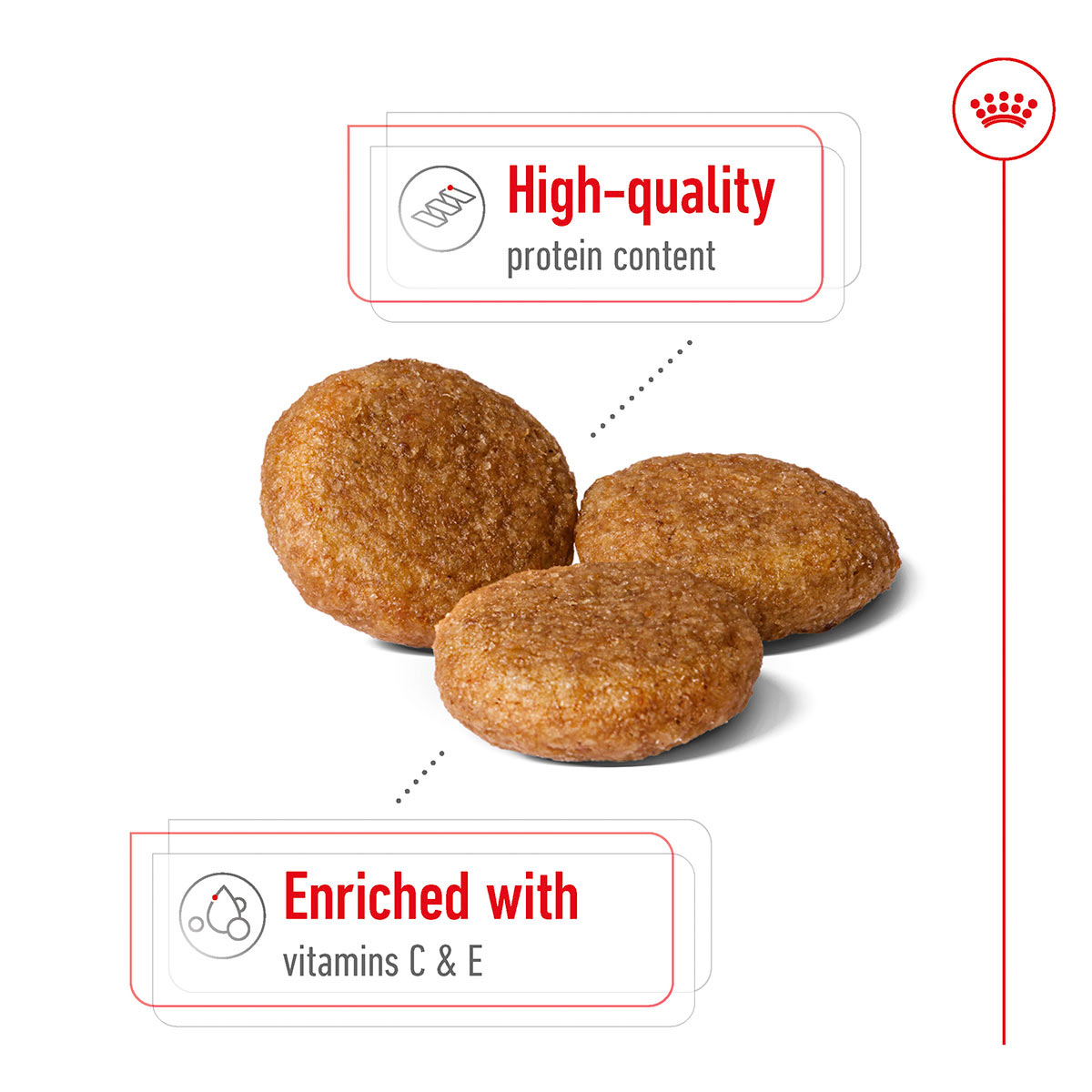 Royal Canin Size Health Nutrition Medium Adult bei ZooRoyal