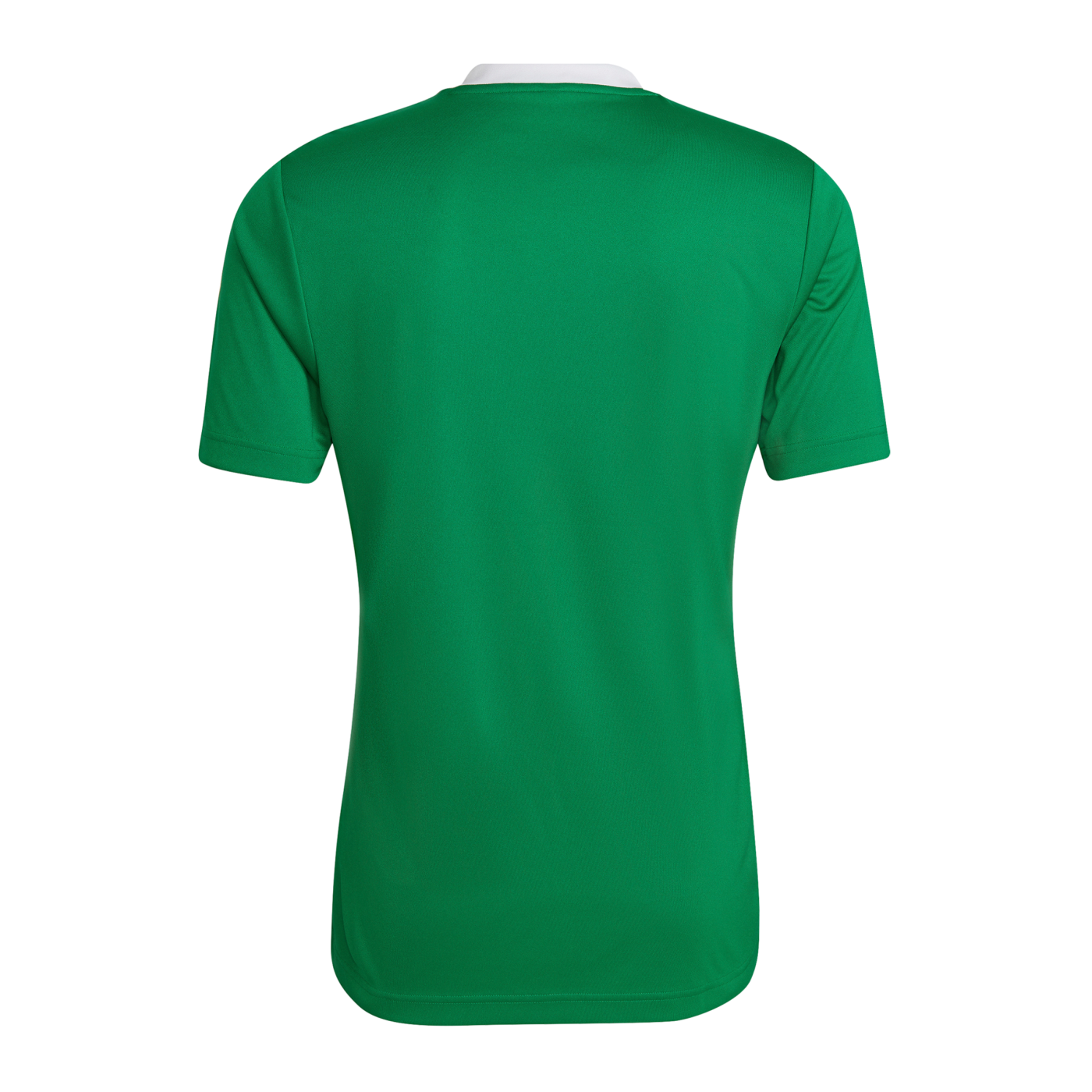 adidas Entrada 22 Trikot Grün
