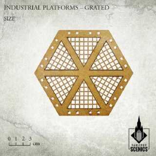 Industrial Platforms Grated