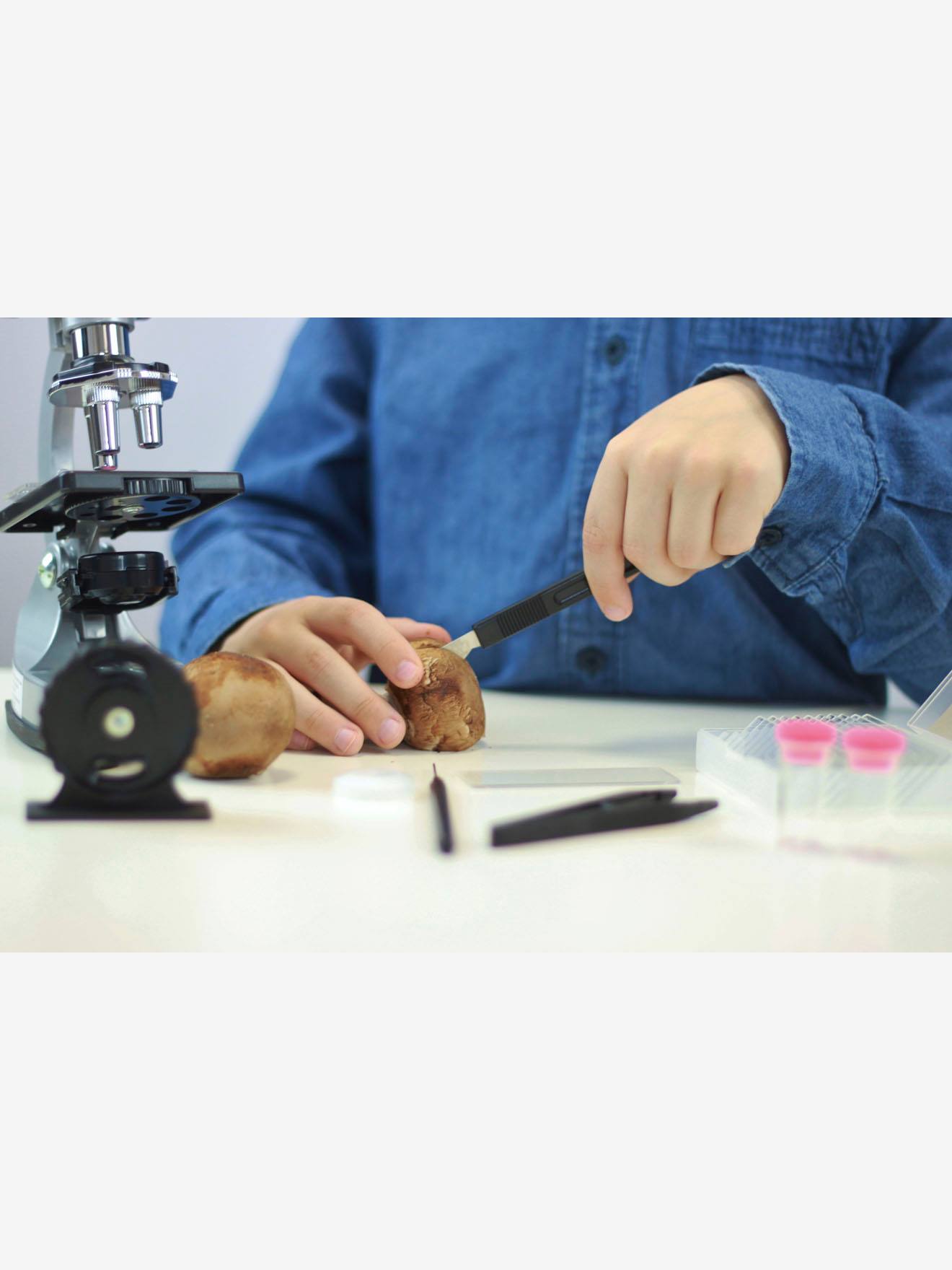 Microscope