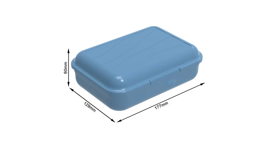 rotho Brotdose Funbox 0,9l Aqua