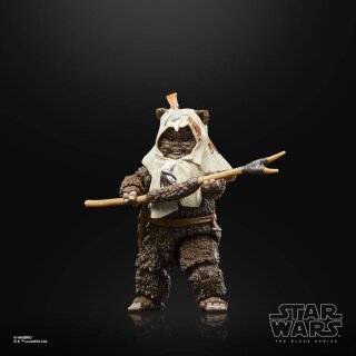 Star Wars Episode VI 40th Anniversary Black Series Actionfigur: Paploo