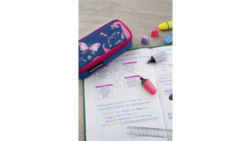 EBERHARD FABER Schlamperbox Schmetterling pink