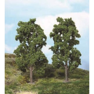 Kastanien 20 cm (2 Stk.)